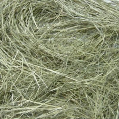 Pangola Grass Hay Honduras Fine Chop