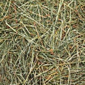 Pangola Hay – 9% CP 70% NDF 11% LNDF