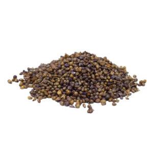 Pearlmillet Grain Brazil Whole