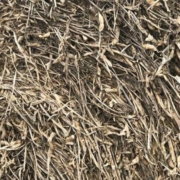 Perennial Soy Hay Brazil Fine Chop
