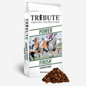 Power Finish (Tribute)