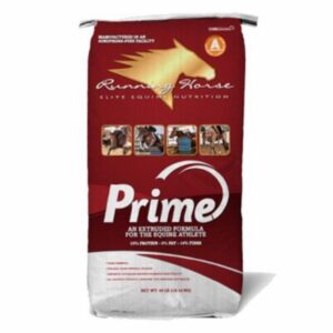 Prime (Running Horse)