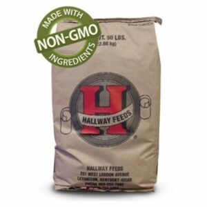 Pure & Simple Balancer (Hallway)