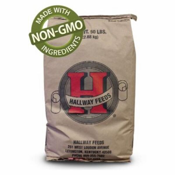 Pure & Simple Balancer (Hallway)