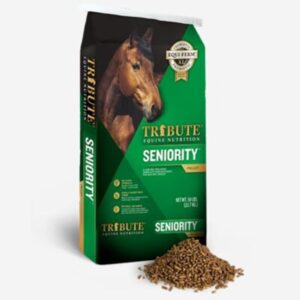 Seniority Pellet (Tribute)