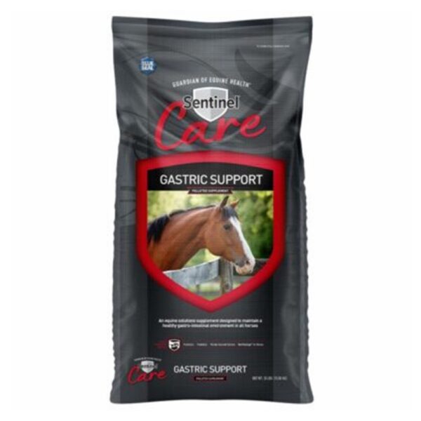 Sentinel Care Gastric Support (Blue Seal)