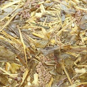 Sorghum Silage Brazil Medium Chop
