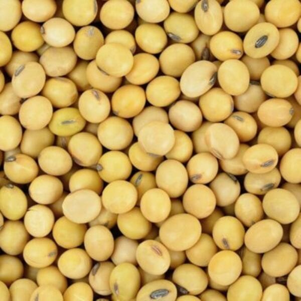 Soy Whole Full Fat Formal Dehydetreated