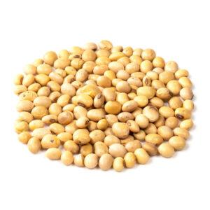 Soybean Grain Brazil Whole