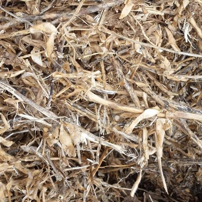 Soybean Straw Brazil Medium Chop