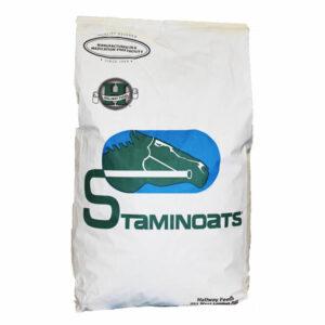 Staminoats (Hallway)