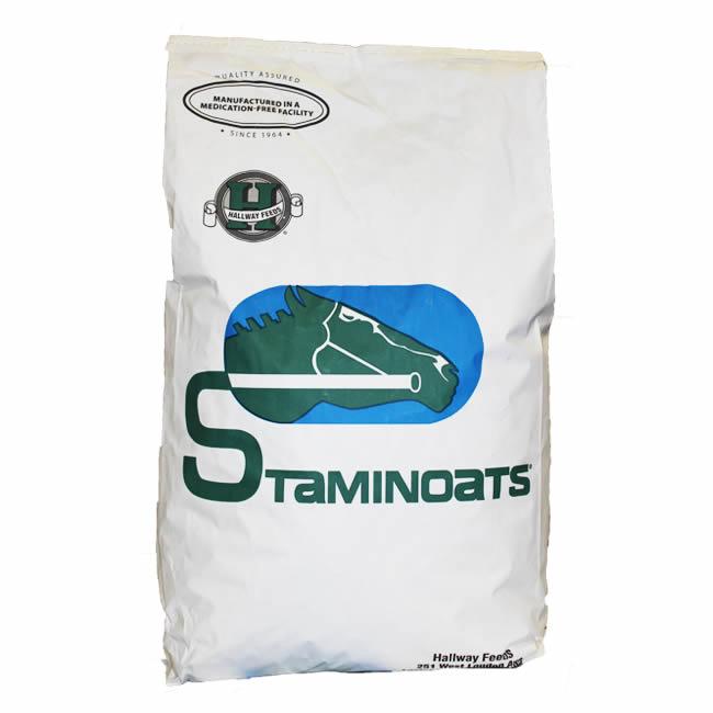 Staminoats (Hallway)