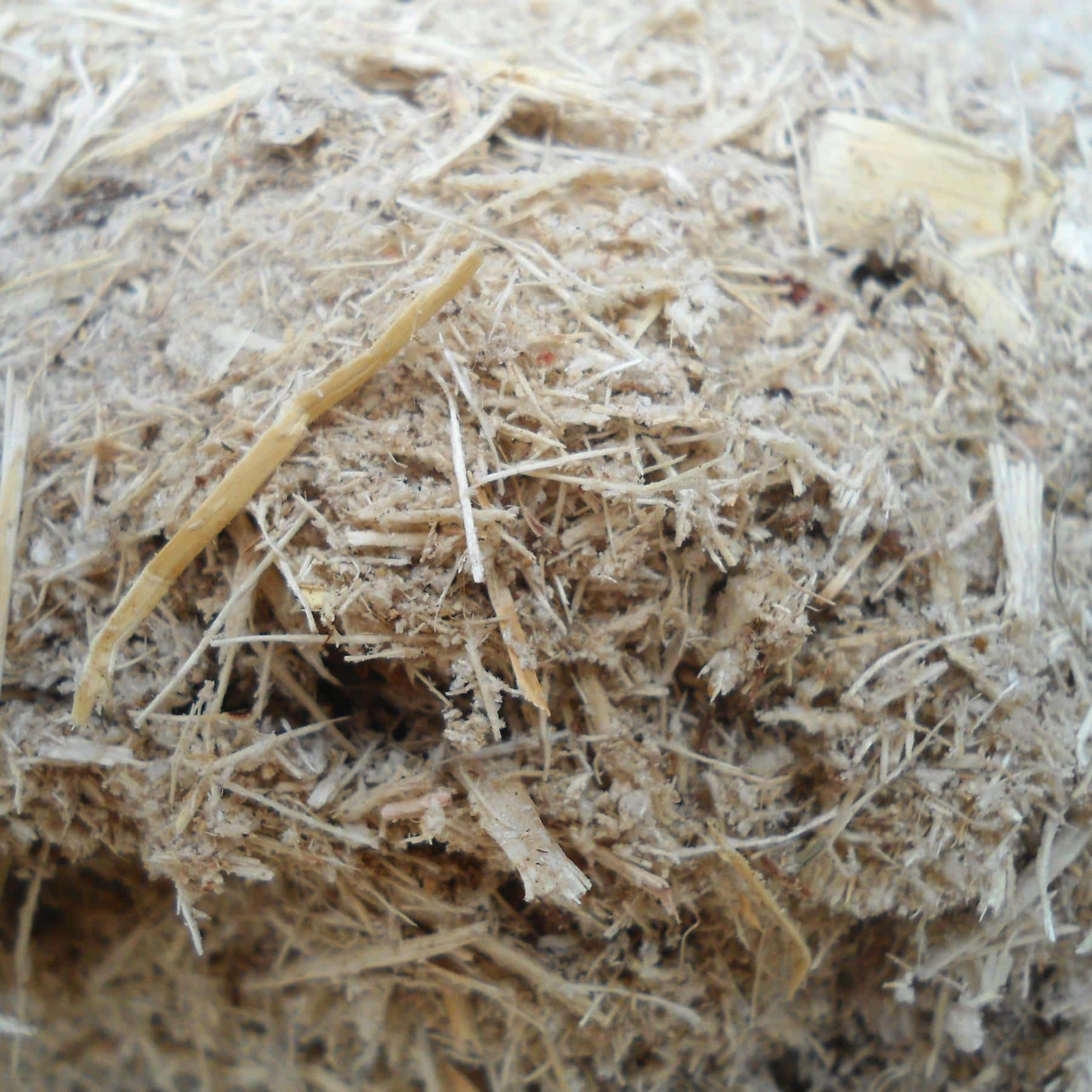 Sugarcane Bagasse Brazil Long