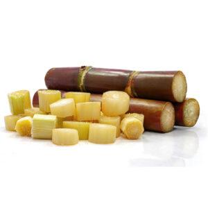 Sugarcane Fresh Brazil Fine Chop