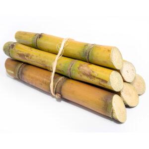 Sugarcane Fresh Brazil Long