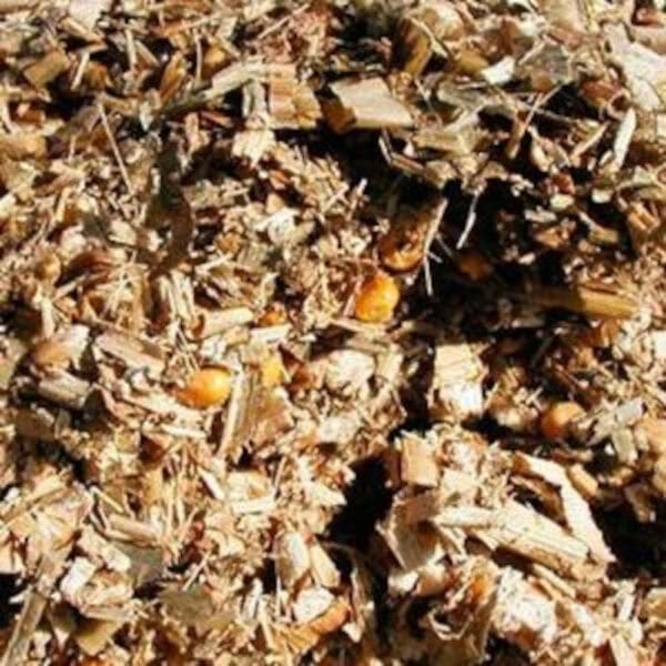 Sunflower Silage – 35% DM 55% NDF