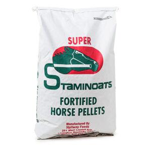 Super Staminoats (Hallway)