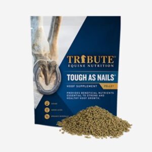 Tough as Nails (Tribute)