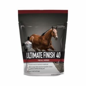 Ultimate Finish 40 (Buckeye)