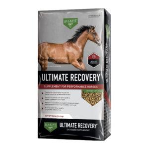 Ultimate Recovery (Buckeye)