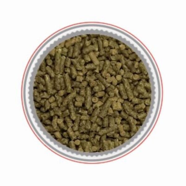 Vert Tendre (Mondou)- [Discontinued]