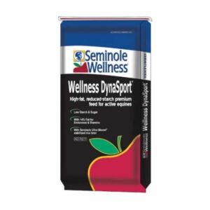 Wellness DynaSport (Seminole)