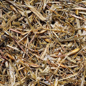 Whole Crop Oat Silage – 32% DM 50% NDF