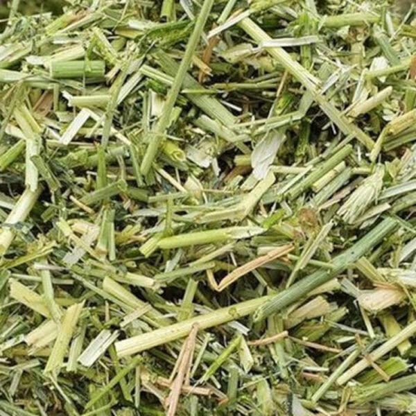 Whole Crop Wheat Silage – 40% DM 48% NDF