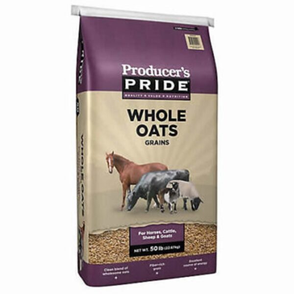 Whole Oats (Producer’s Pride)