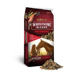 Wholesome Blends Performance (Tribute)