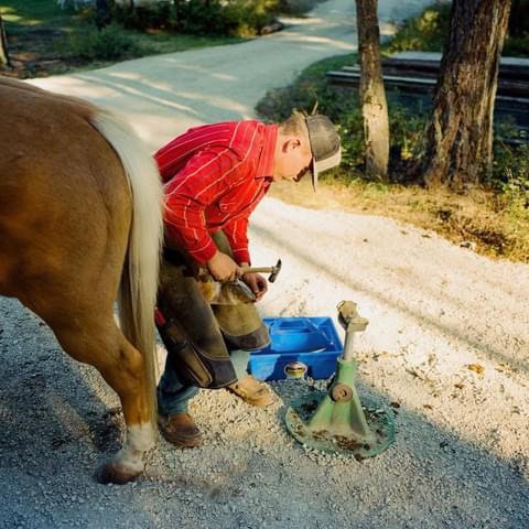 Willy Lytton - Farrier