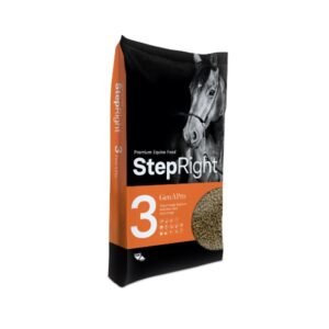 Step 3 GenAPro (Trouw)