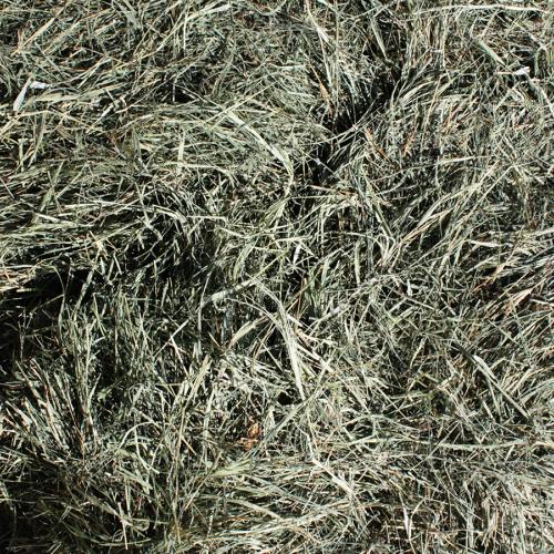 Klein Grass Hay 2nd Cut