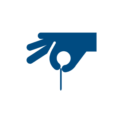 Equine Acupuncturist