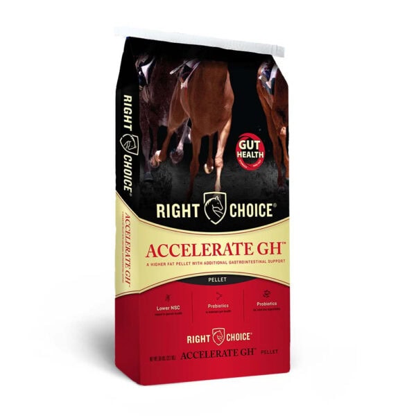 Accelerate GH (Right Choice)