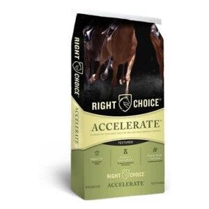 Accelerate (Right Choice)