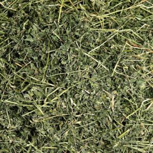 Alfalfa (Medicago sativa) Hay Brazil Fine Chop