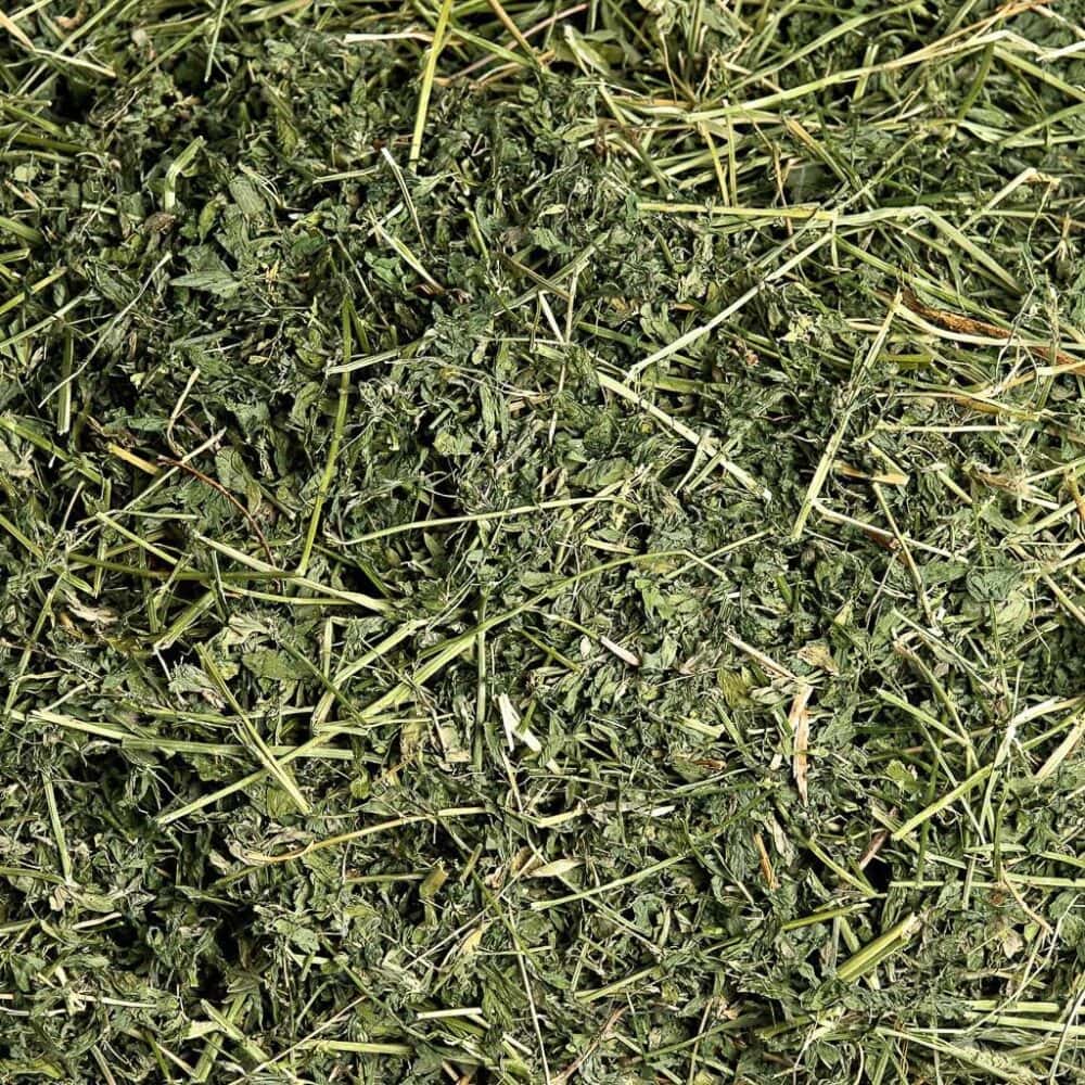 Alfalfa (Medicago sativa) Hay Brazil Medium Chop