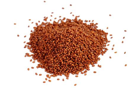 Camelina Sativa Seeds for Horses