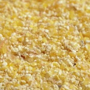 Corn (Zea Mays) Grain Brazil Coarse Grind
