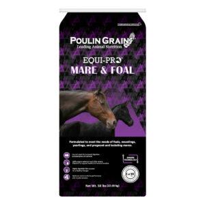 EQUI-PRO Mare & Foal (Poulin Grain)