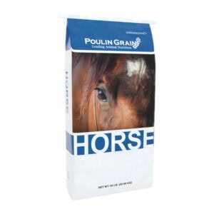 Forage Extender Mini Bites (Poulin Grain)