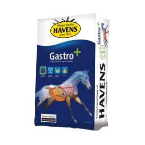Gastro Plus (Havens Horsefeed)