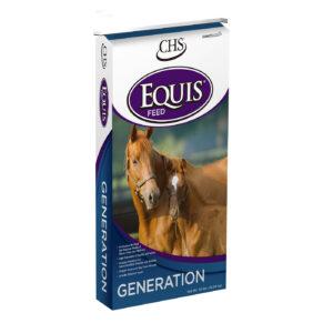 Generation (Equis Feed)