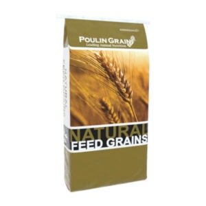 Golden Select Rolled Oats (Poulin Grain)