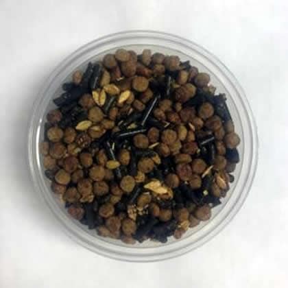 Junior Horse (Kelley’s Feed)