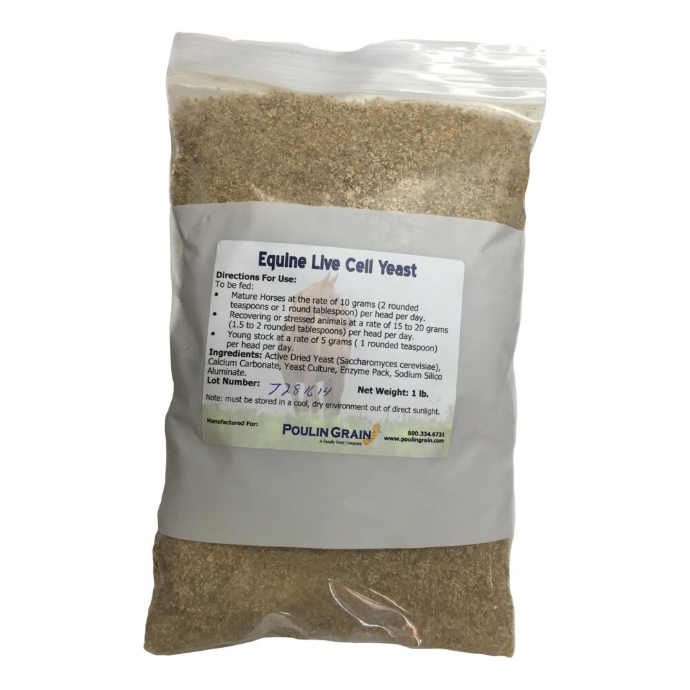 GIT Activator (Poulin Grain)