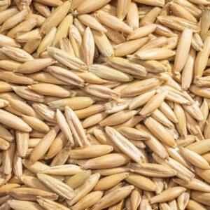 Oats, Whole (Modesto Milling)