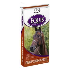 Performance (Equis Feed)