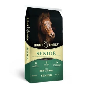 Senior Pellet (Right Choice)